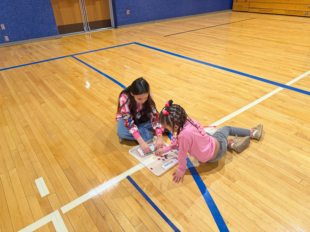 image-20260217_0909-4