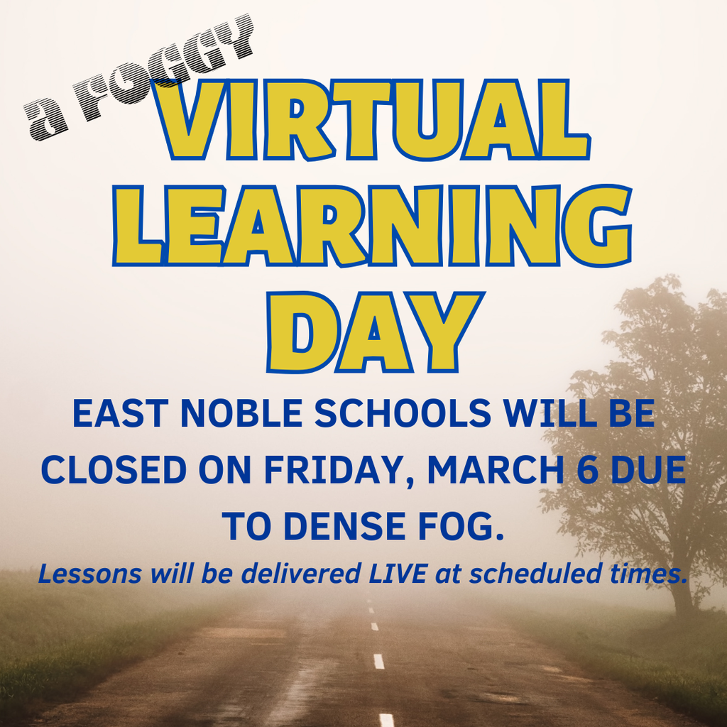 Virtual Learning Today
