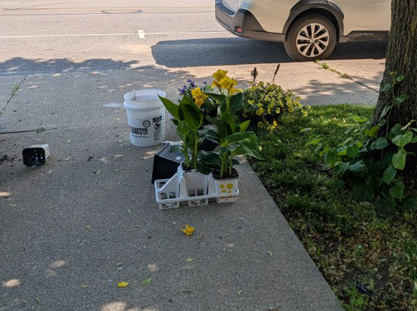 Superintendent Steve Planting Flowers