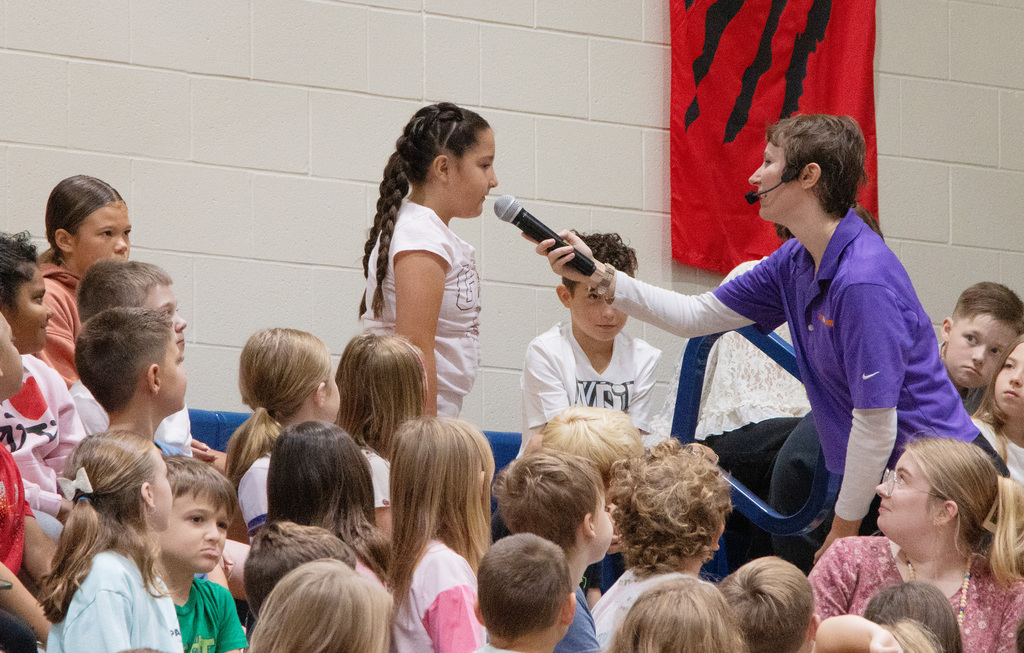NED Assembly