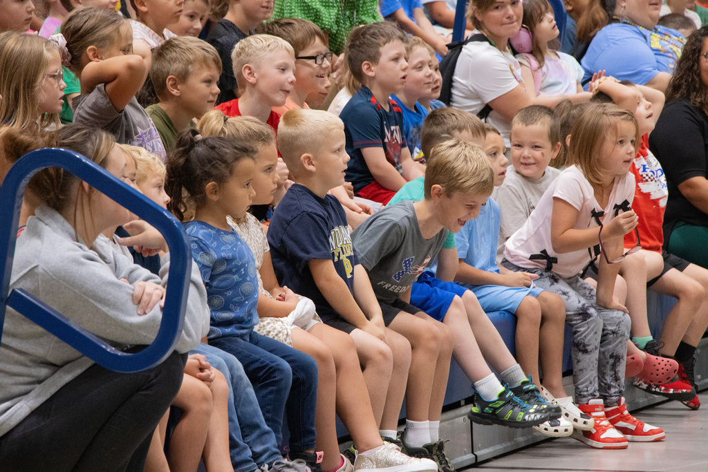 NED Assembly