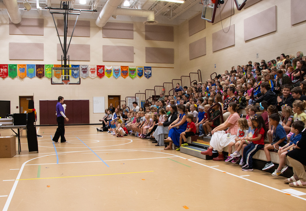 NED Assembly
