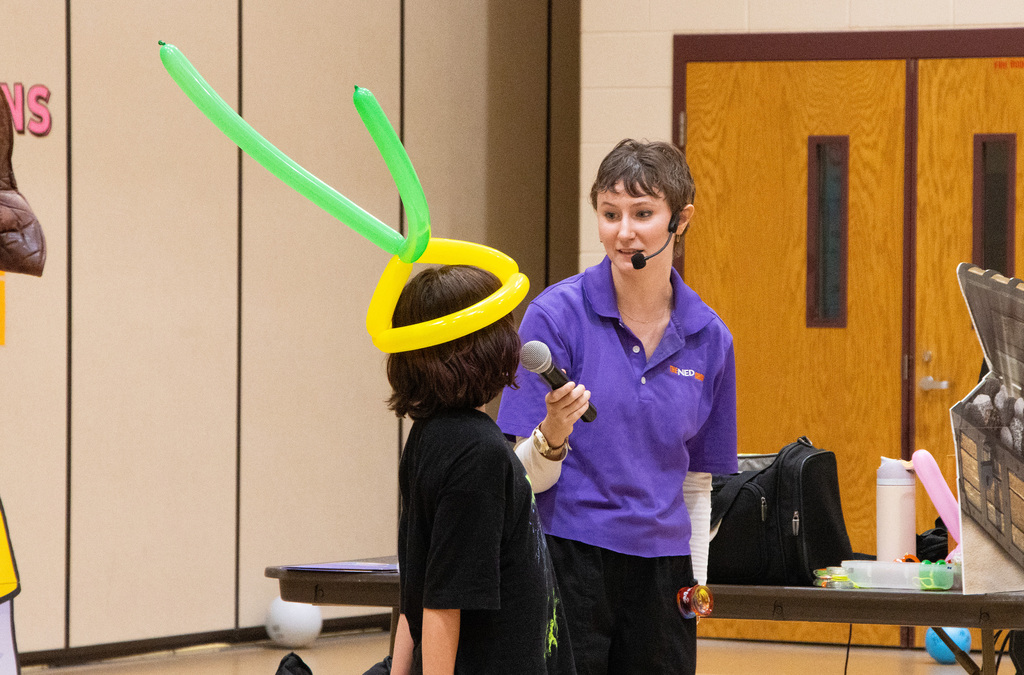 NED Assembly