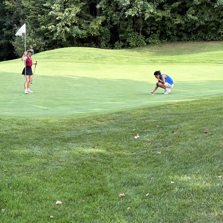 golf pic