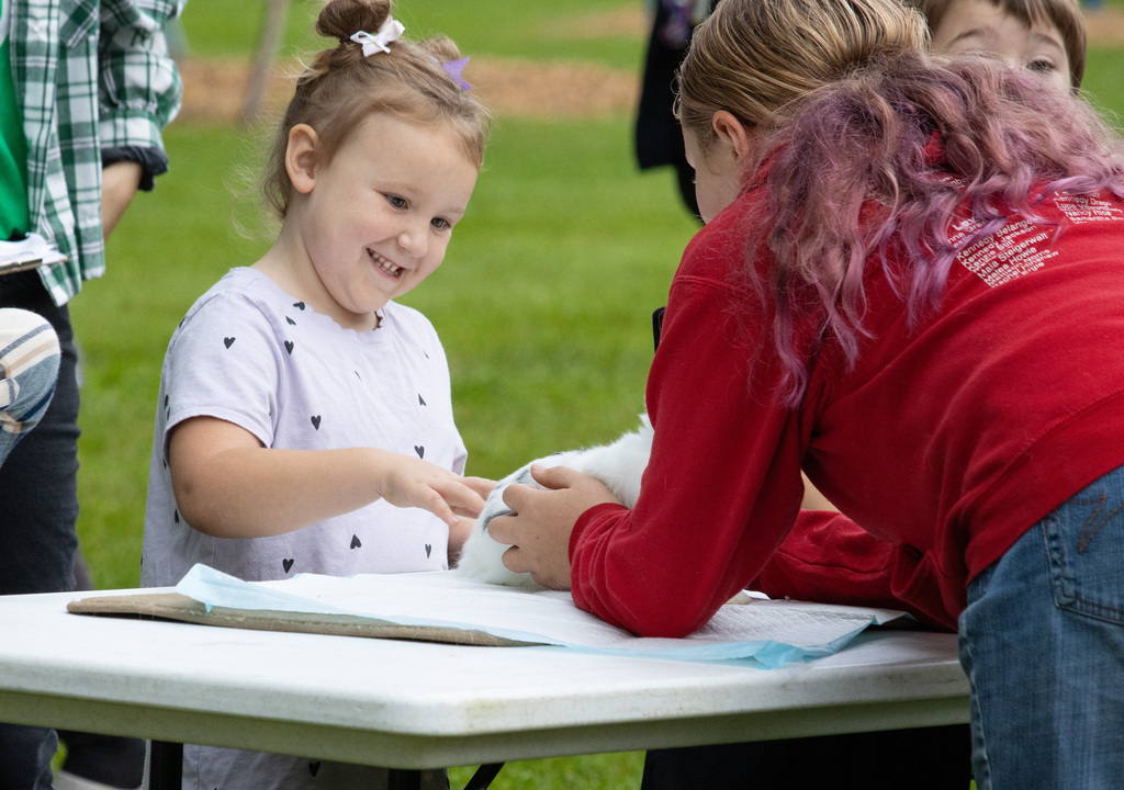 RC Fall Festival