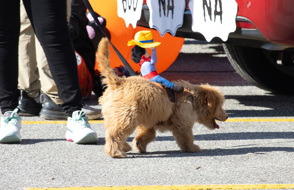 North Side Halloween