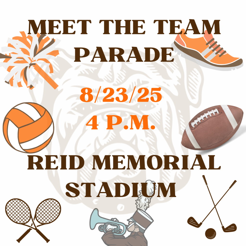 Meet the team