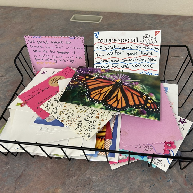 thank you cards