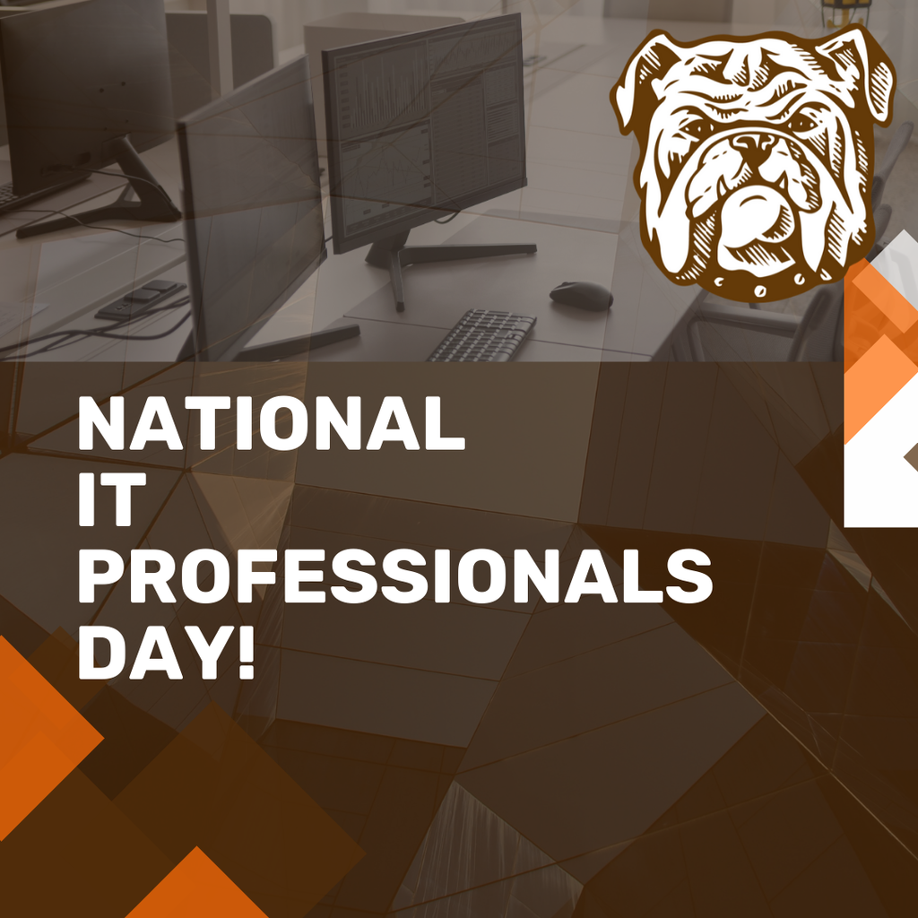 IT Professionals Day