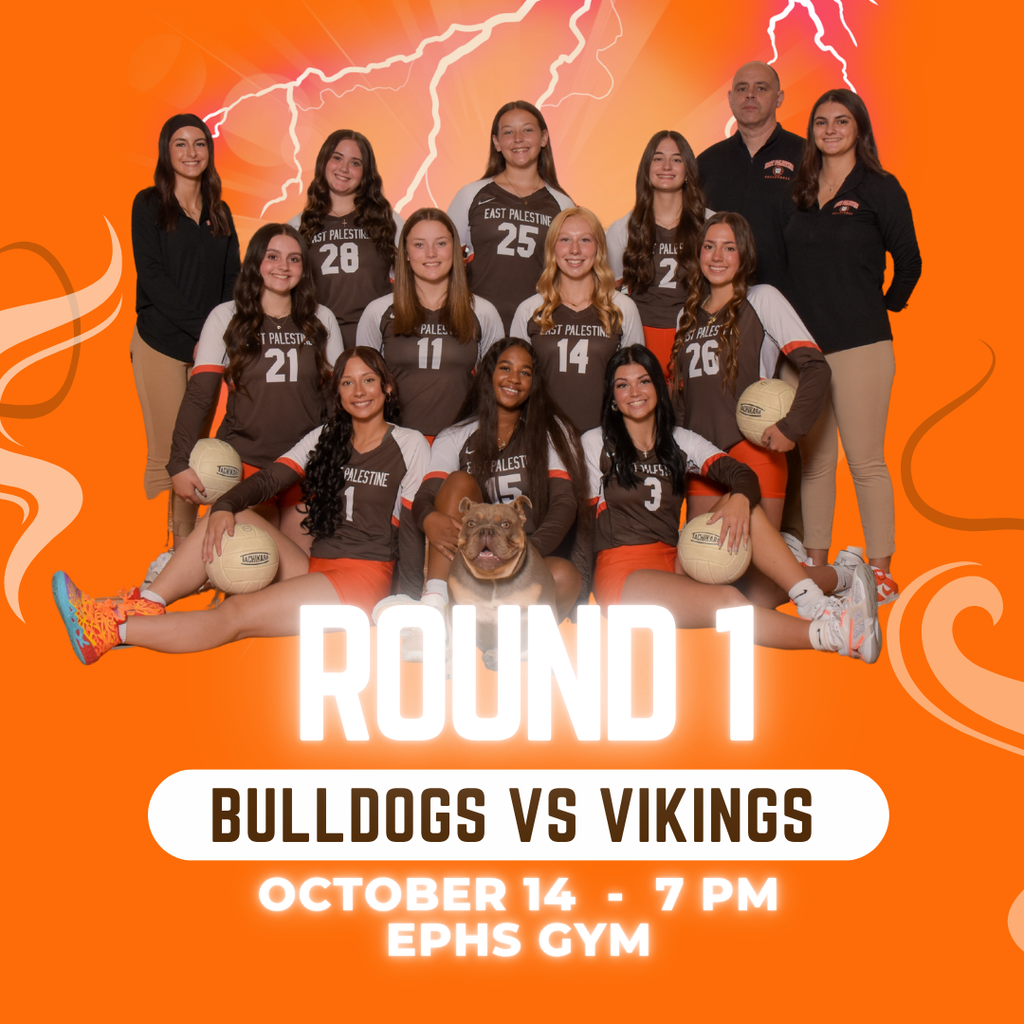 volleyball team