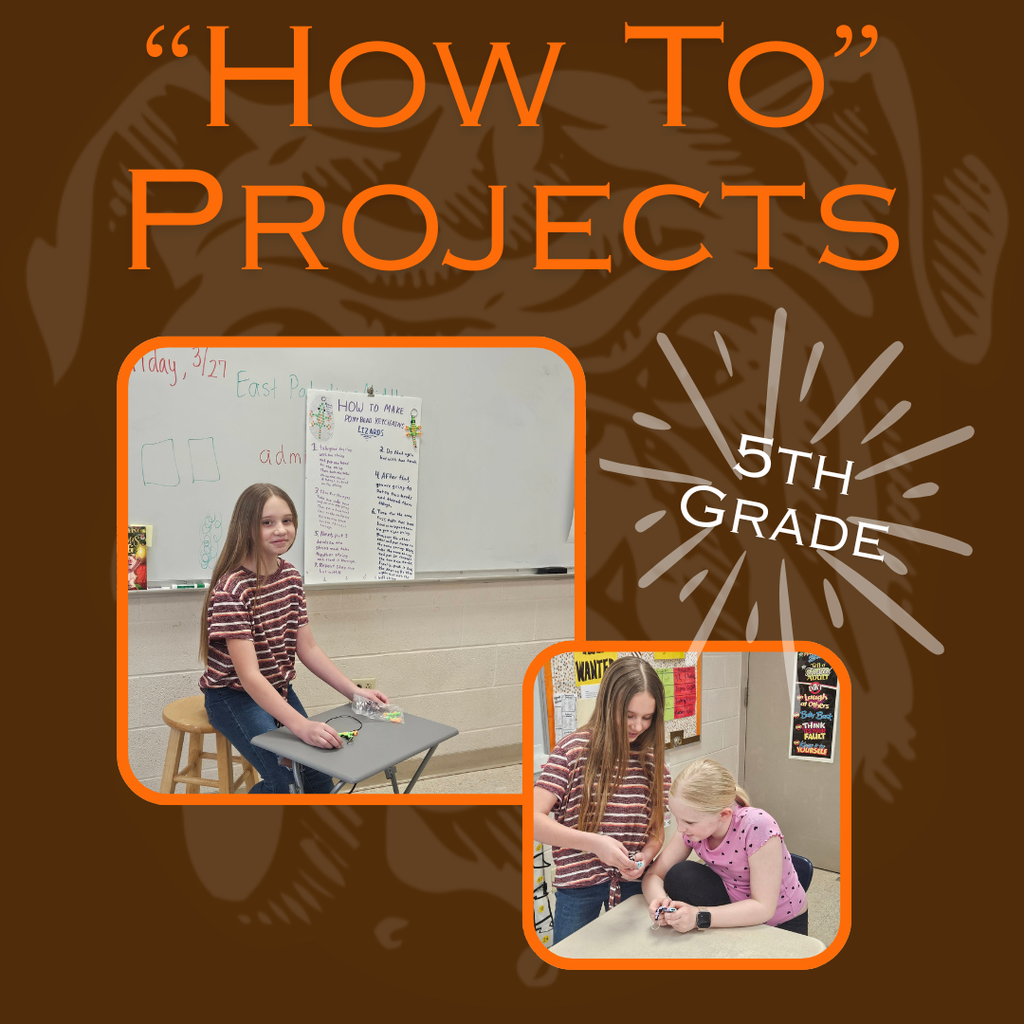 how to projects in 5th grade