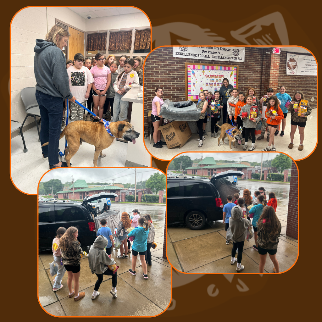 humane society donation