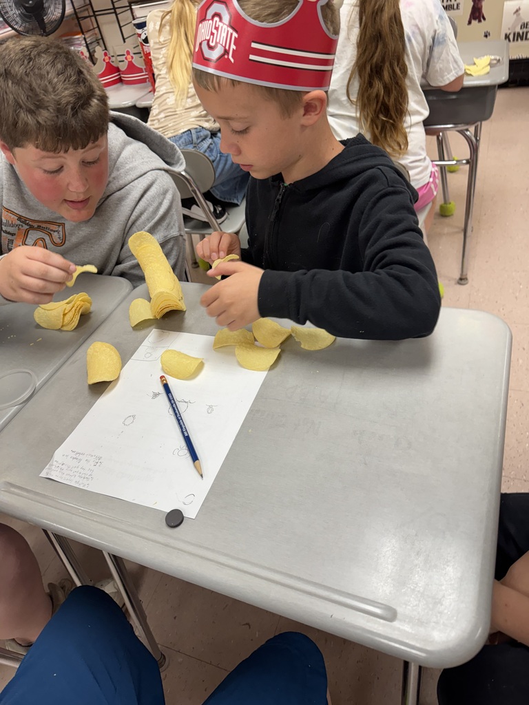 stem winners