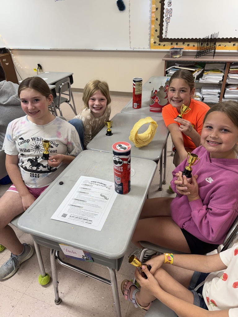 stem winners