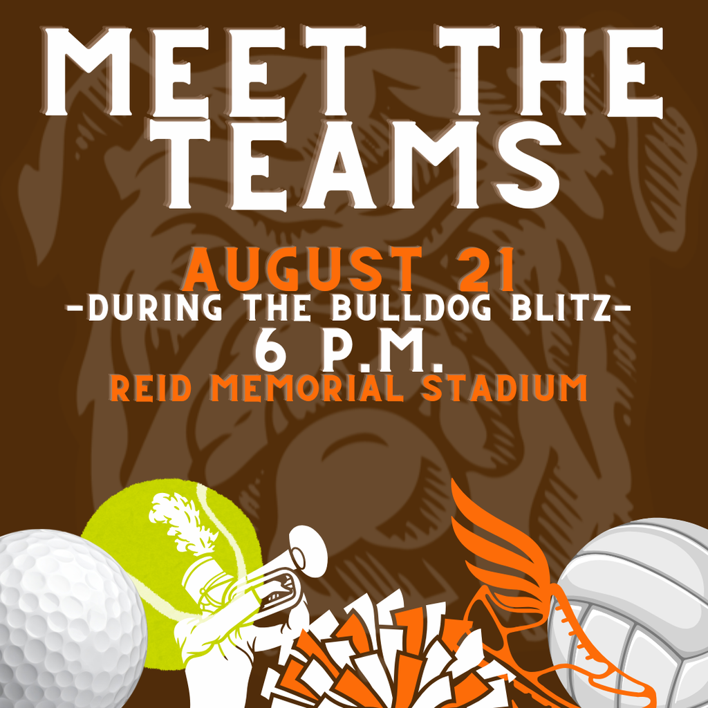 meet the team