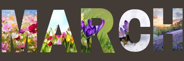 March Newsletter