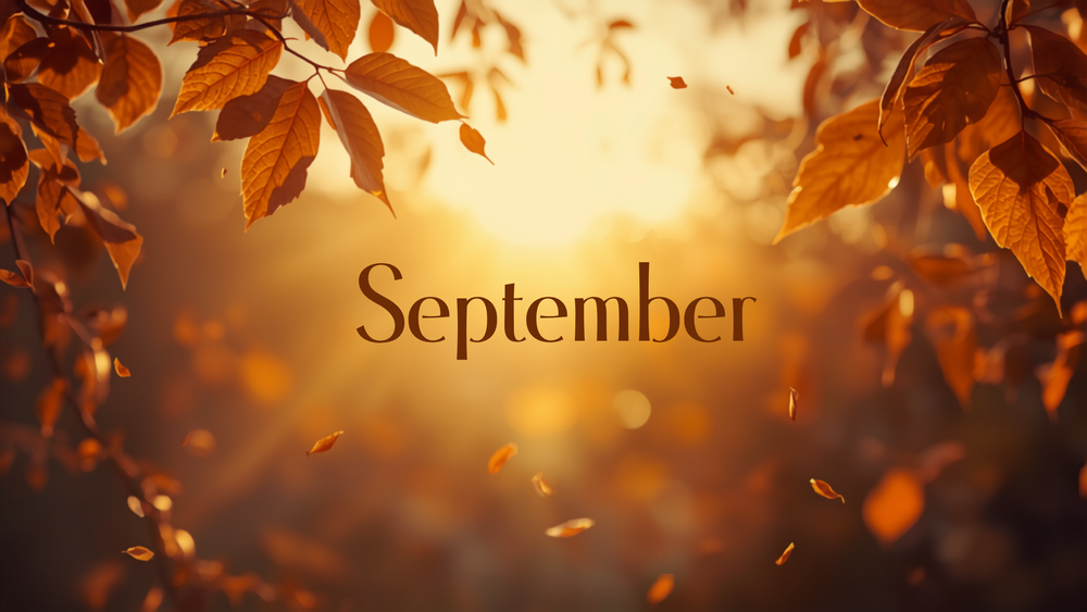 September Newsletter