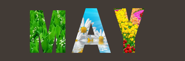 may news