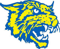 softball team wildcat