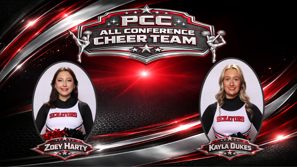 Porter County Conference logo