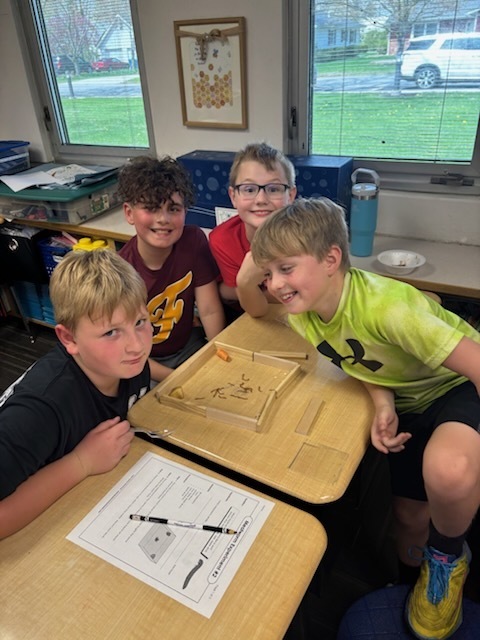 meal worm exploration