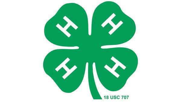 4-H logo