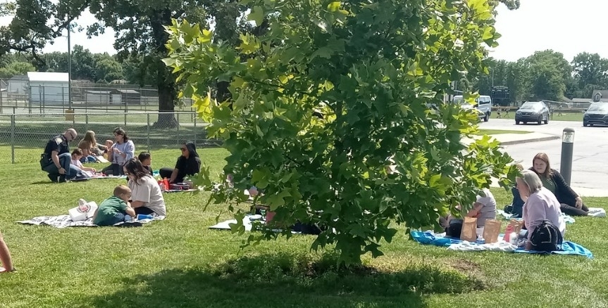 family picnic