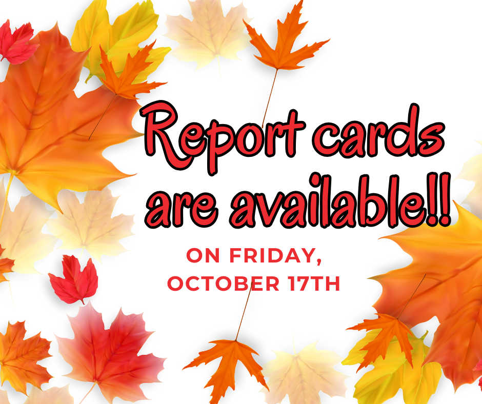 report cards