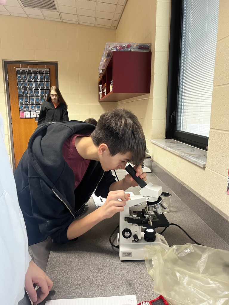 Secondary students working with biomed microscopes