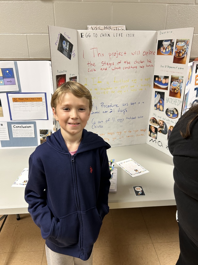 Science Fair photo