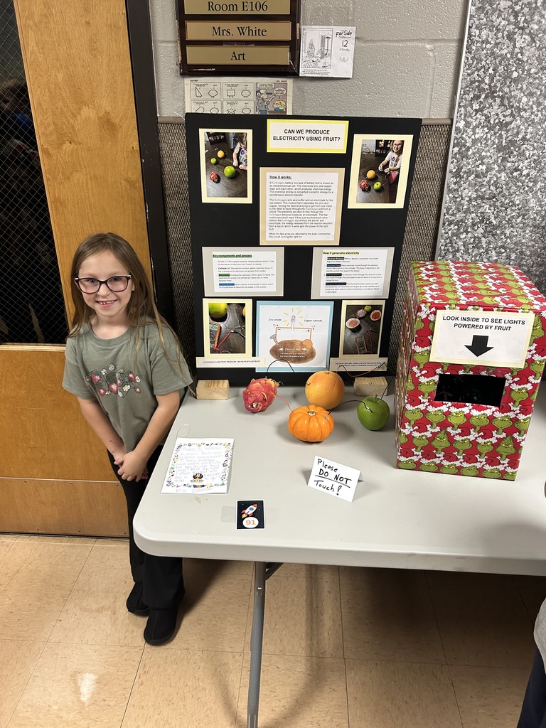 Science Fair photo