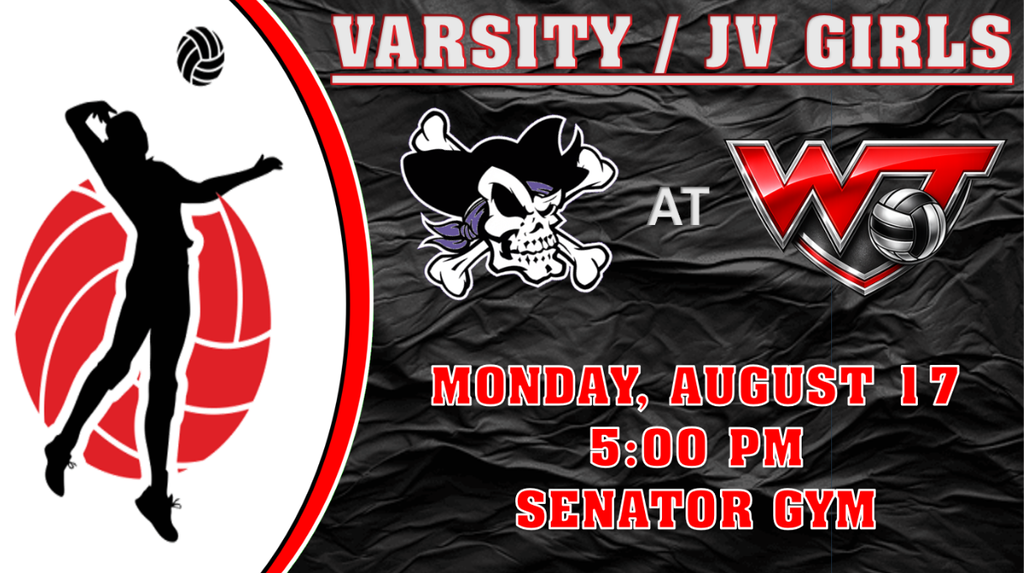 High School Girls Volleyball vs Merrillville