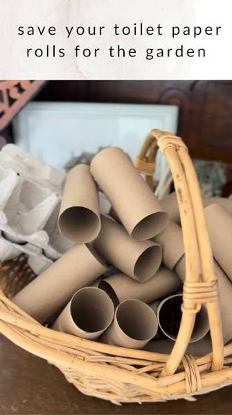 Key Club Toilet Paper Rolls