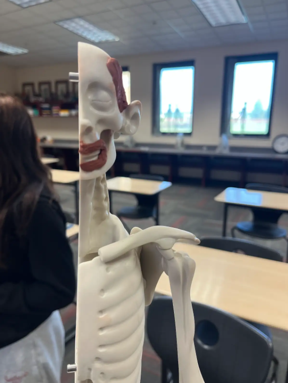 PLTW Body
