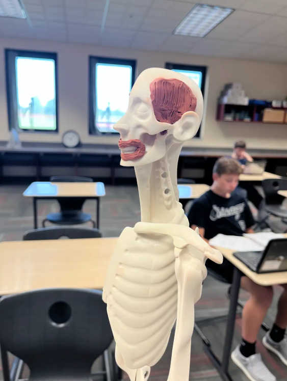 PLTW Body