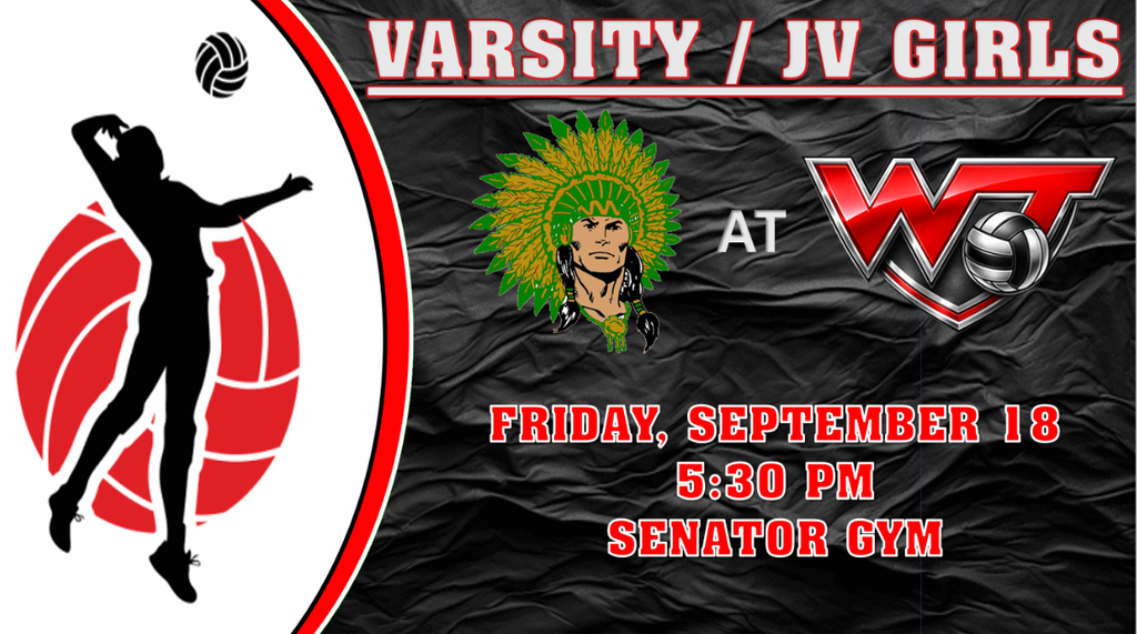 High School Girls Volleyball vs Morgan Township
