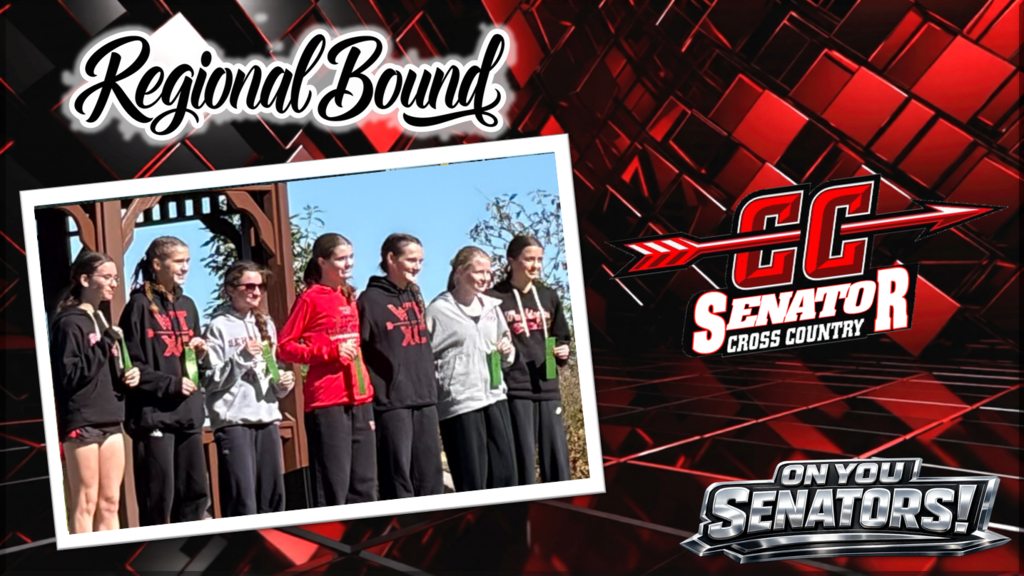 High School Girls Cross-Country Regional Qualifiers