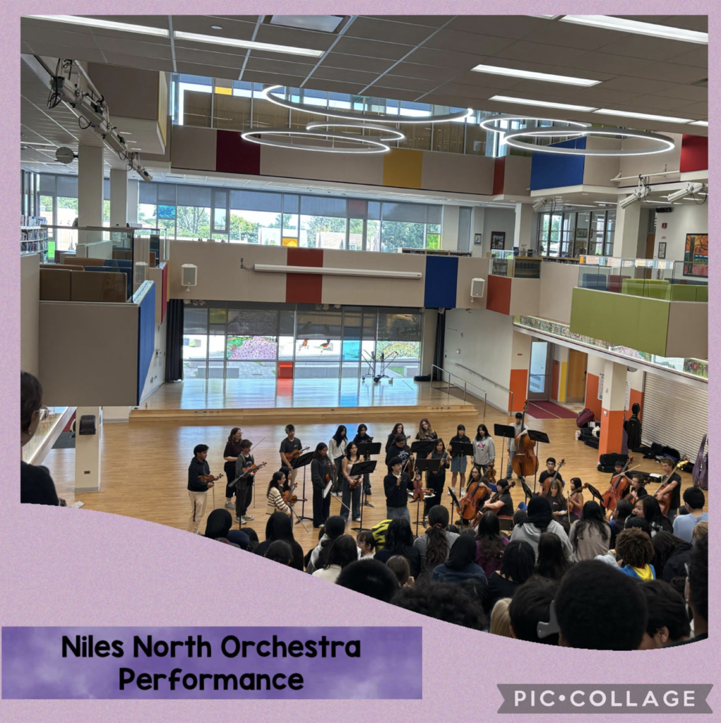 Niles North Orchestra