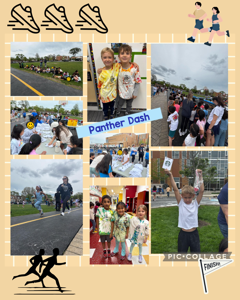 Panther dash pictures 