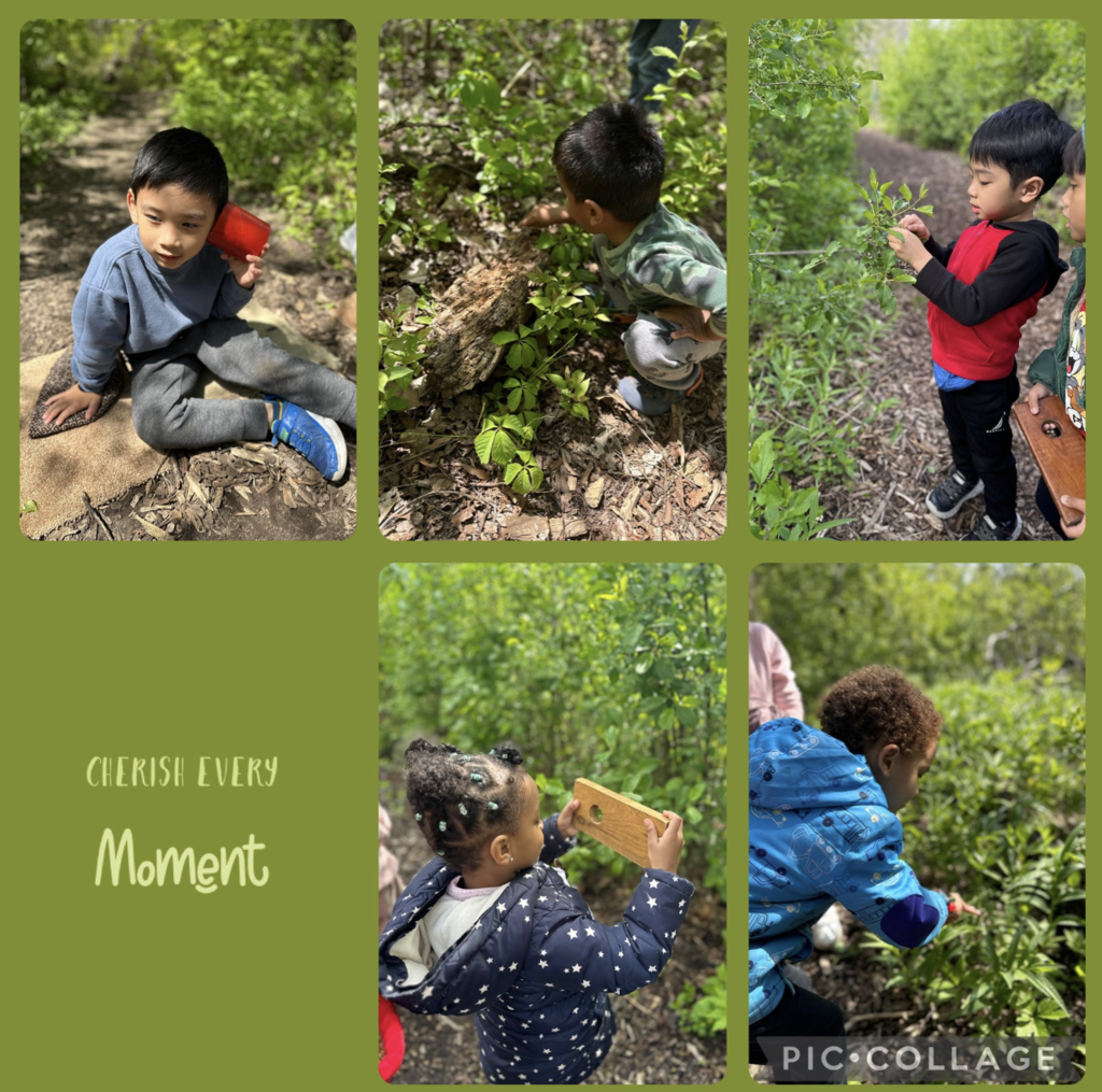 preK pictures at nature center