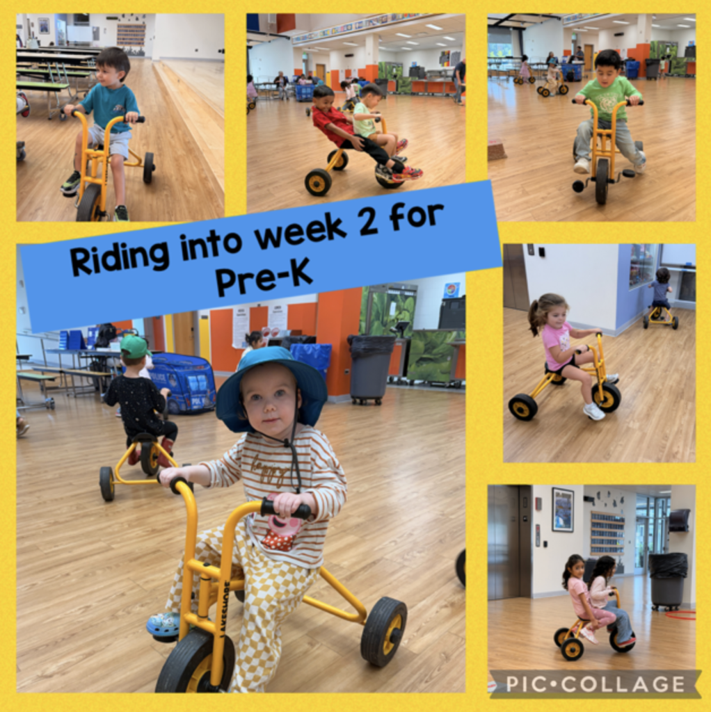 preK kiddos riding trikes