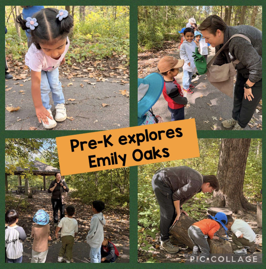 pre K pictures at nature center