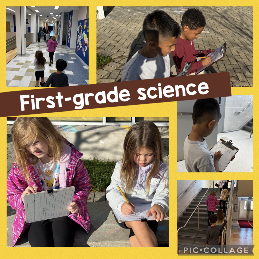first grade scientists