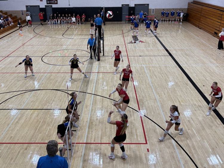 VB