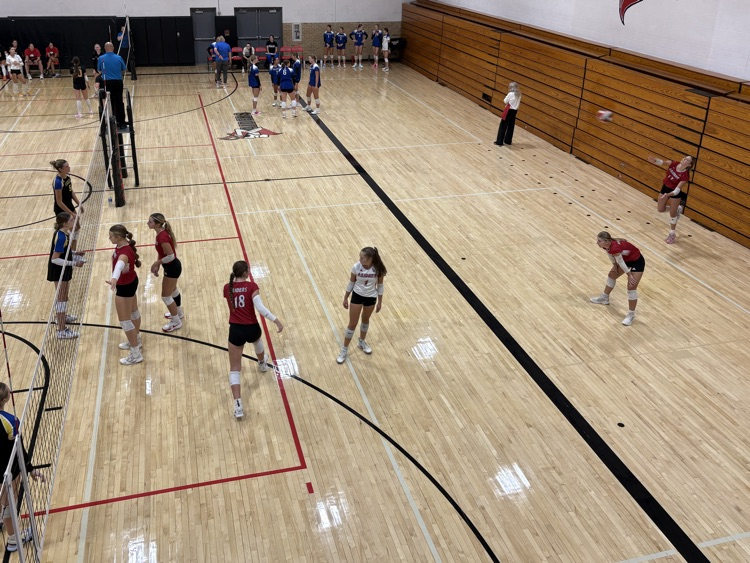 VB