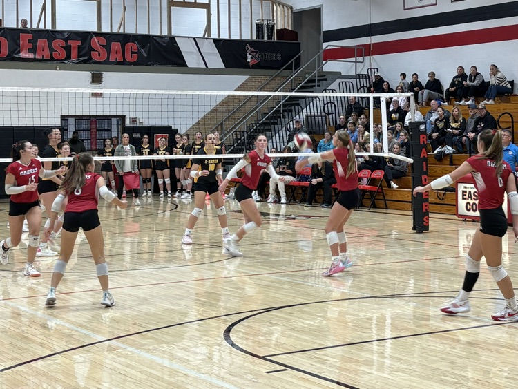 VB