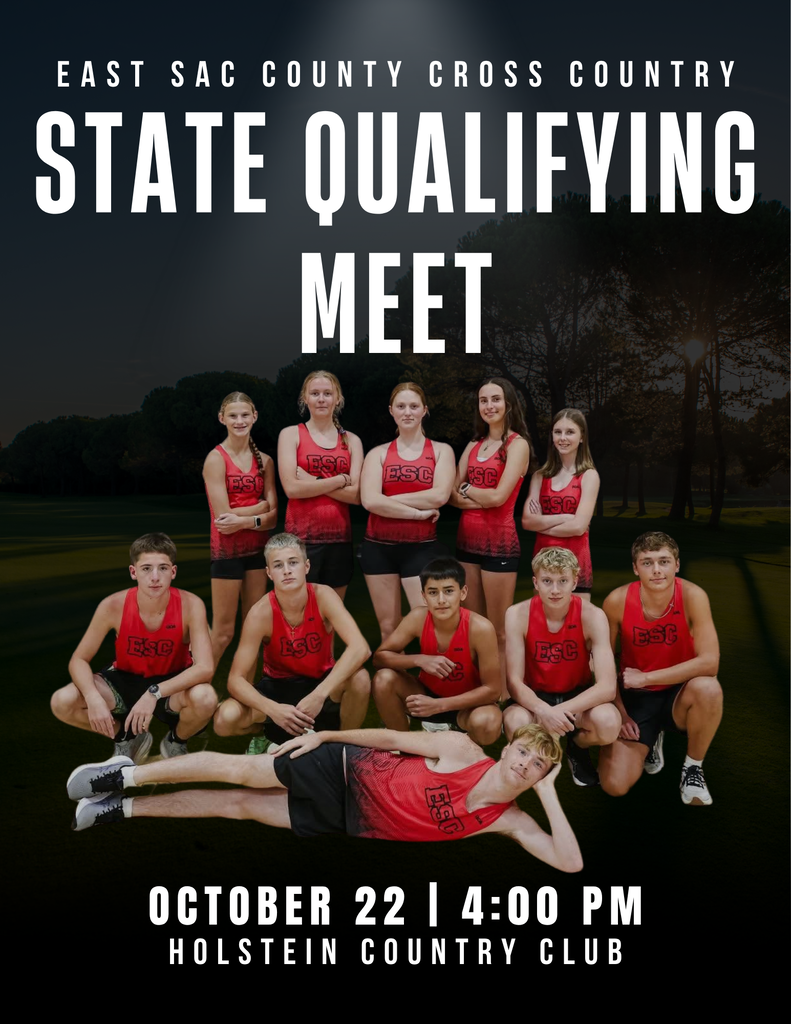 cross country team picture for the state qualifying meet