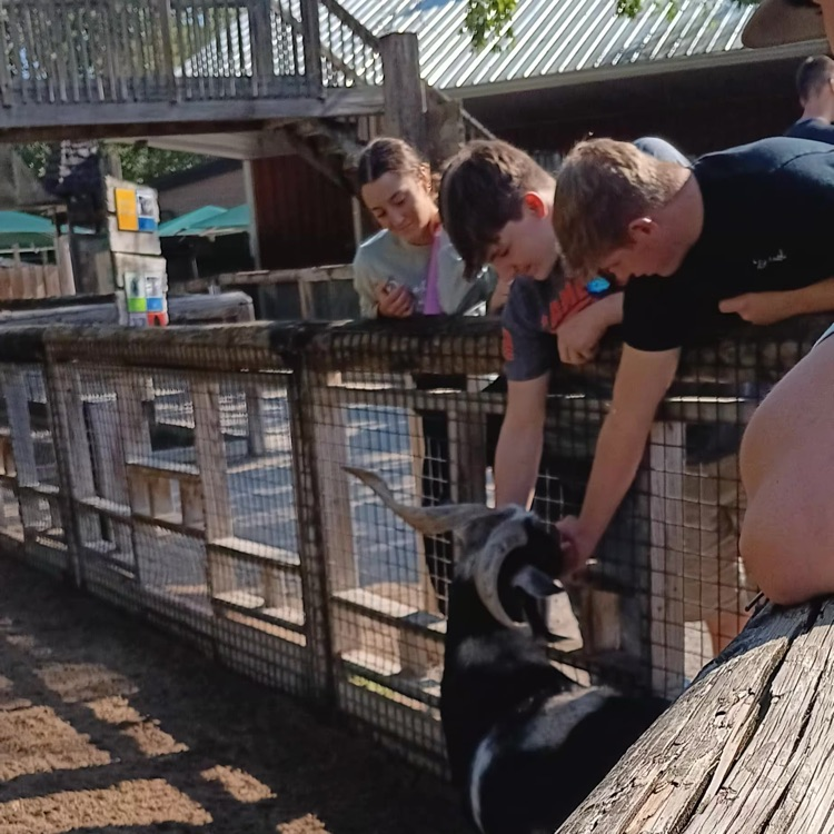 Zoo time