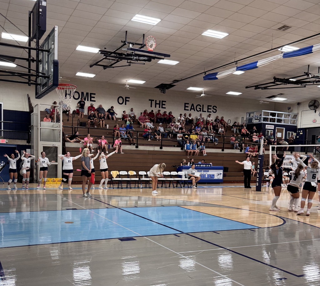 Volleyball Action