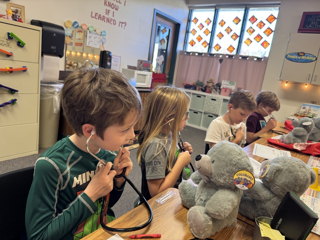Children sit around a table with plush toys, using stethoscopes to listen to them.
